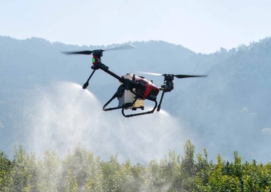 Design și Structură